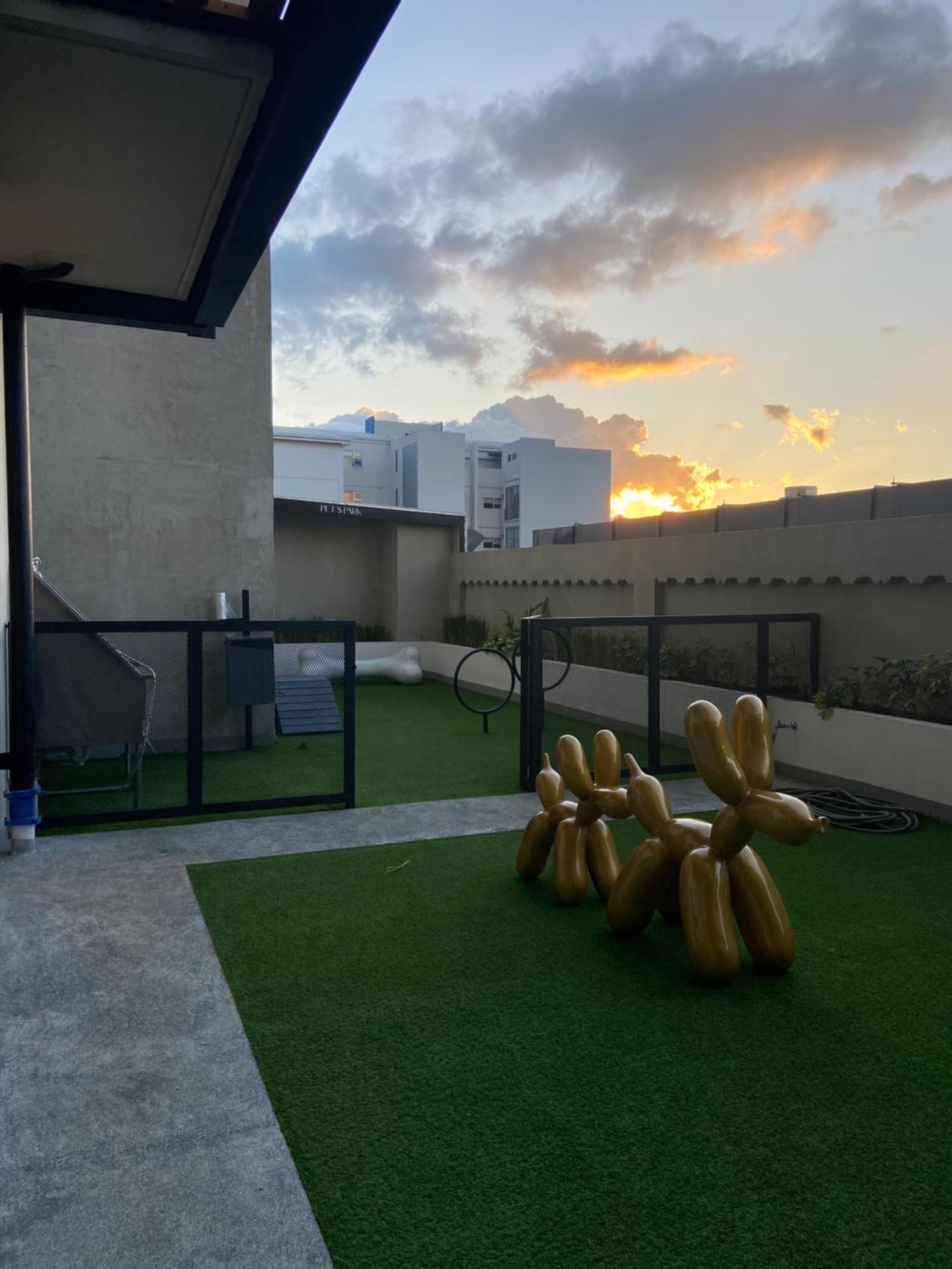 Luxury In * San Jose (San Jose)